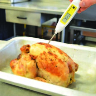 Thermalite thermometer