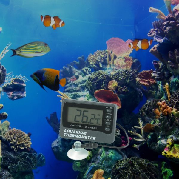 Aquarium thermometer - Image 2